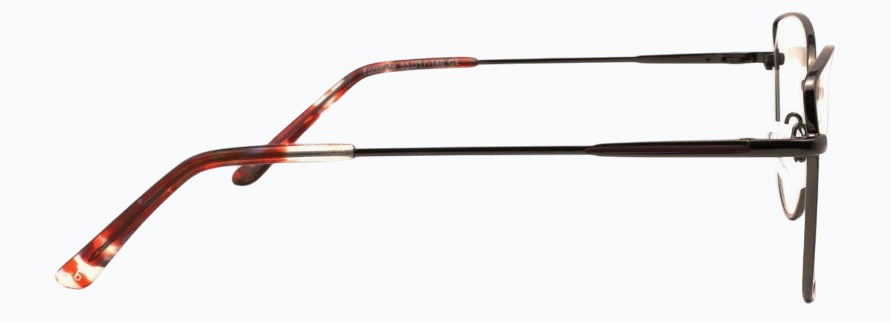 Optica Fortitude