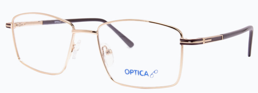 Optica 2203