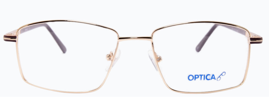 Optica 2203