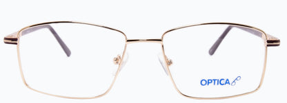 Optica 2203