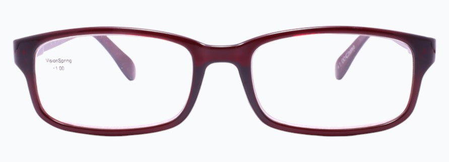 Optica 31010-3