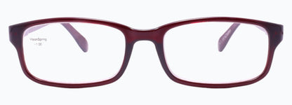 Optica 31010-3