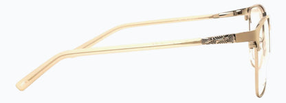 Optica Yin
