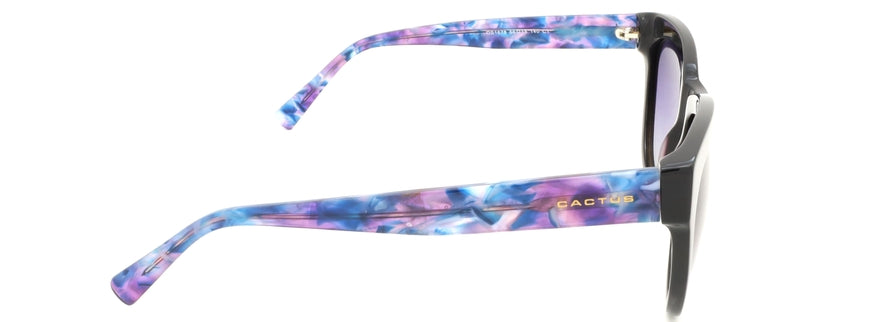 Cactus OS1678