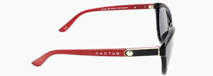 Cactus PL338