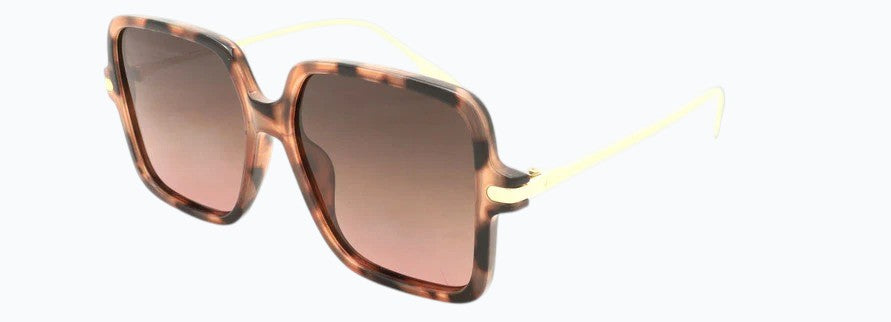 Toni Valencia PL500