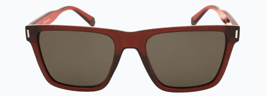 Toni Valencia PL554 Sunglasses – Optica Kenya