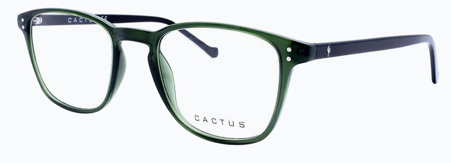 Cactus Pontiac