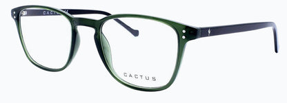 Cactus Pontiac