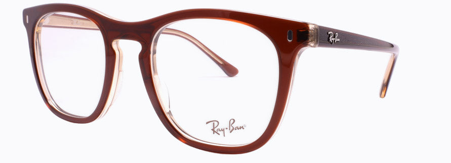 Rayban RX2210V
