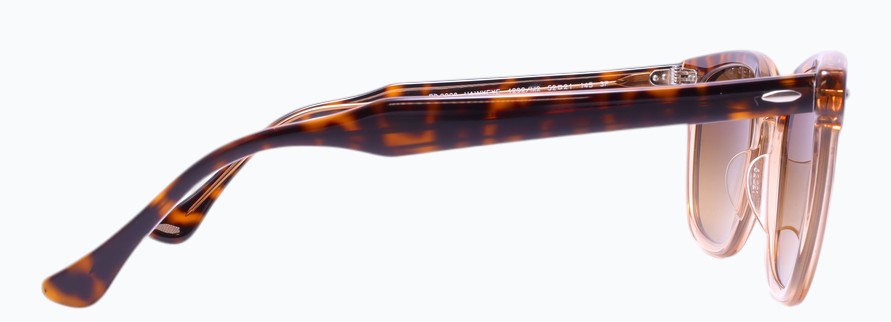 Rayban RB2298