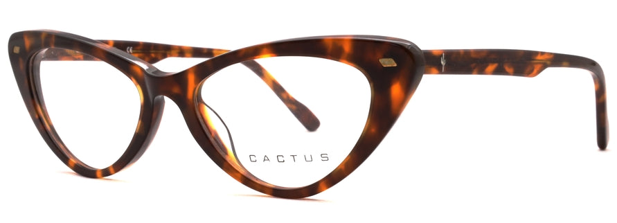 Cactus Retro