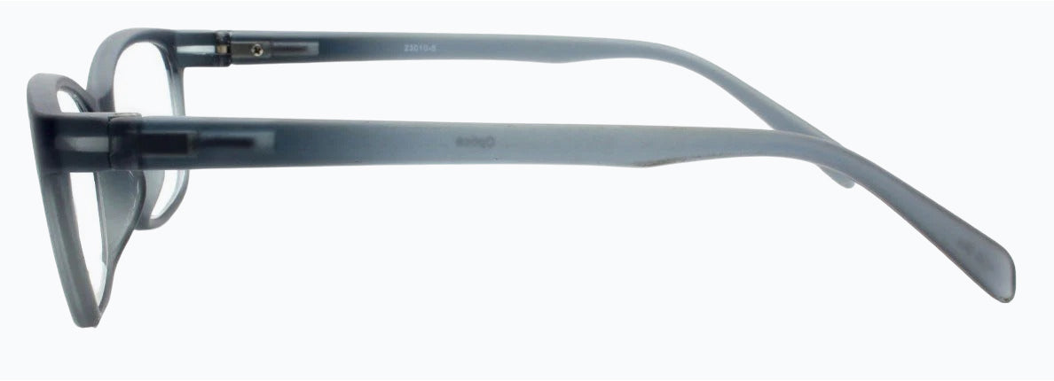 Reading Glasses  23010