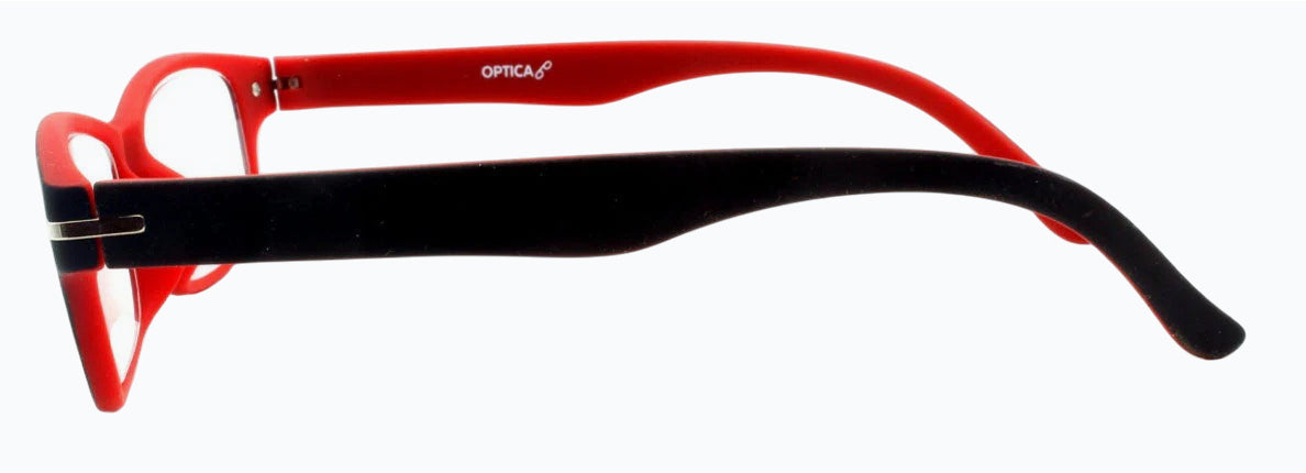 Reading Glasses  T1060