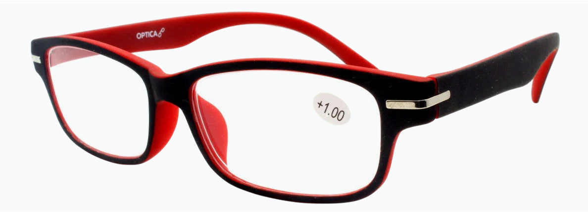 Reading Glasses  T1060