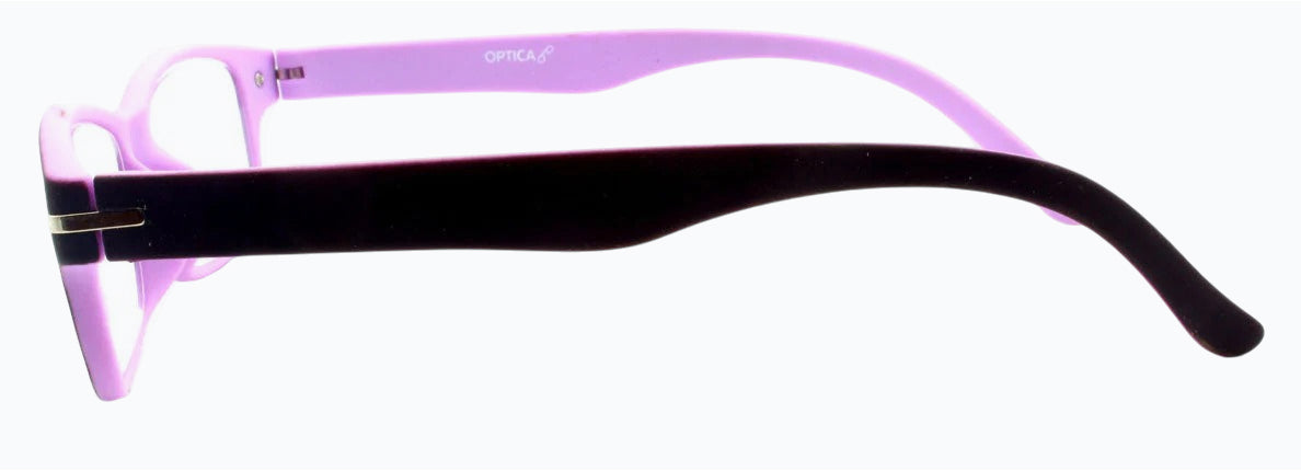 Reading Glasses  T1060