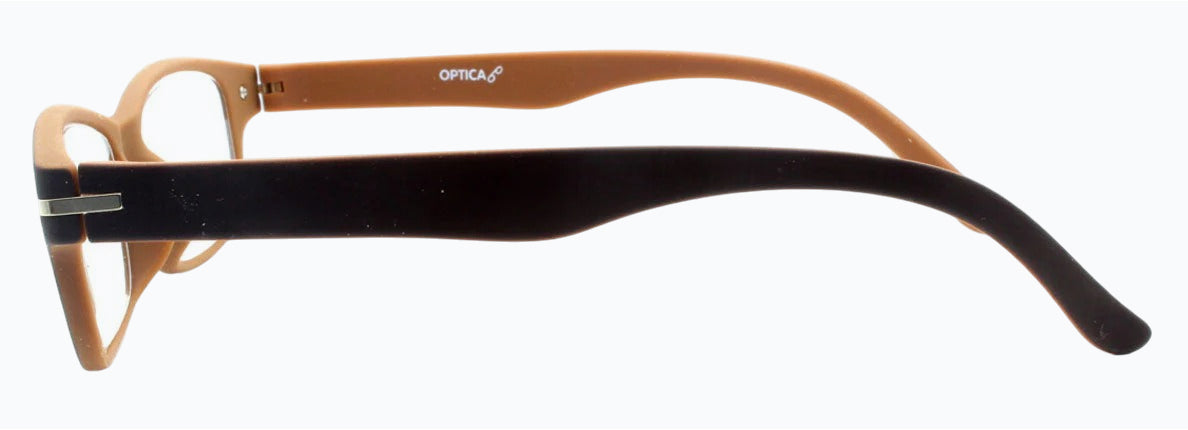Reading Glasses  T1060