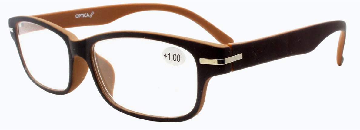 Reading Glasses  T1060