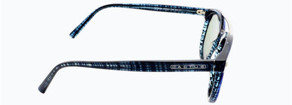Cactus S17508