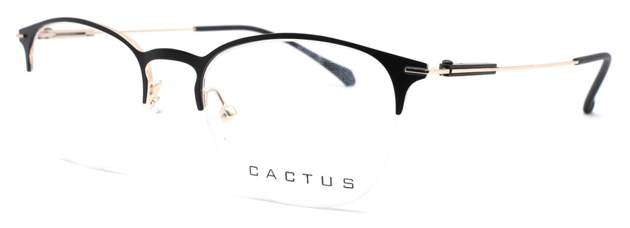 Cactus Salas