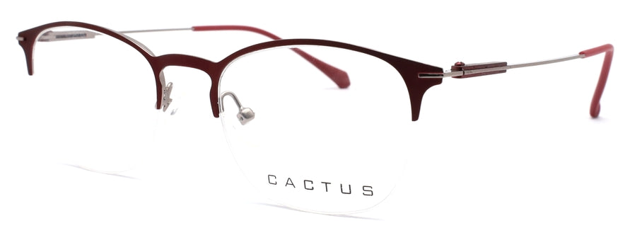 Cactus Salas
