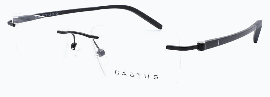Cactus Selrls 8