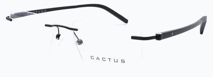 Cactus Selrls 8