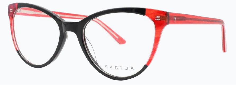 Cactus Sicilia