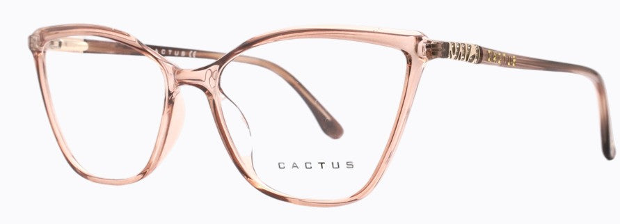 Cactus T1013