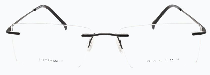 Cactus Tar-012