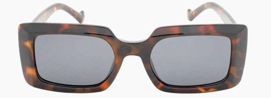 Toni Valencia TR1973