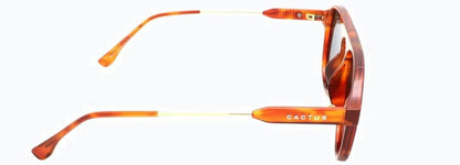 Cactus TR2150