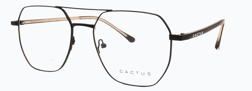 Cactus Verve