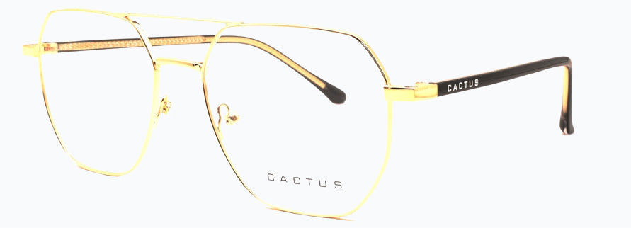 Cactus Verve
