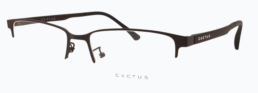 Cactus Wanderer