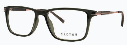 Cactus Wanderlust