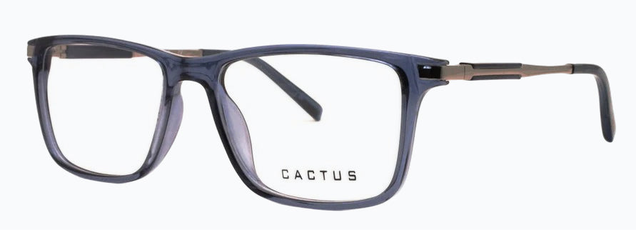 Cactus Wanderlust