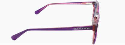 Cactus WD5004