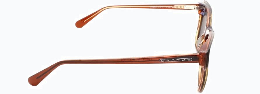 Cactus WD5004