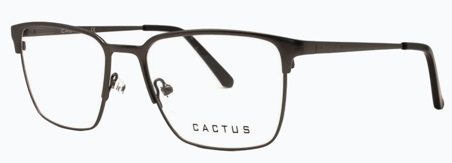 Cactus Whimsy