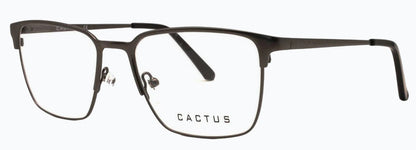 Cactus Whimsy