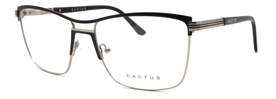 Cactus XC61031