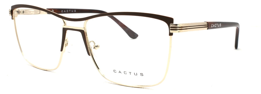 Cactus XC61031