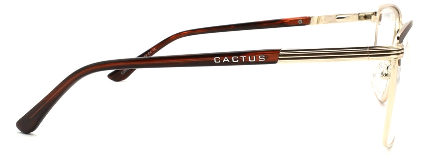 Cactus XC61031