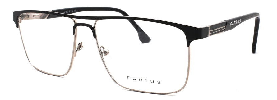Cactus XC61148