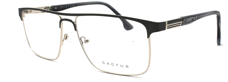 Cactus XC61148