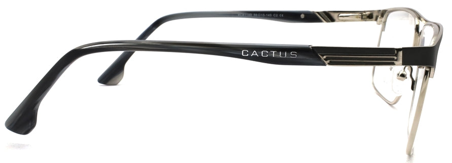 Cactus XC61148