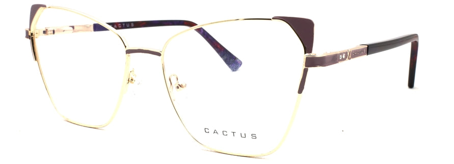 Cactus XC62144