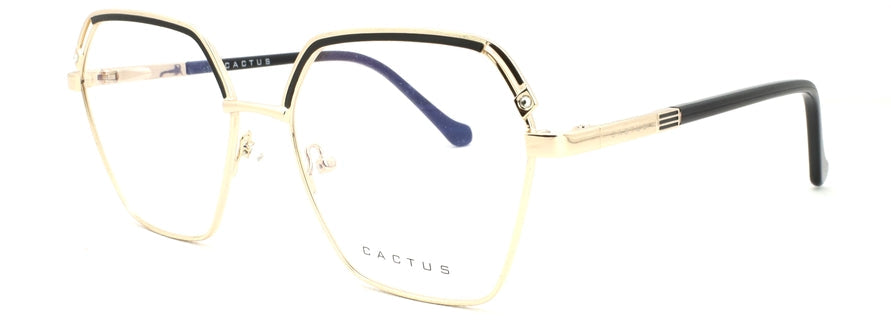 Cactus XC62177