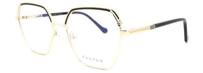 Cactus XC62177
